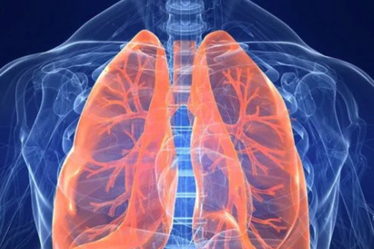 Bệnh viêm phổi do virus HMPV nguy hiểm như thế nào?