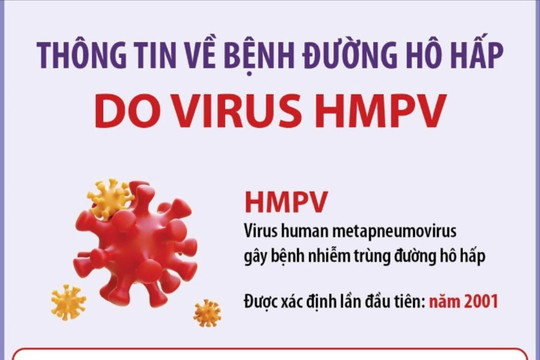 Thông tin mới nhất về bệnh đường hô hấp do virus HMPV