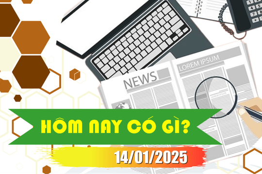 Hôm nay có gì? Ngày 14/01/2025