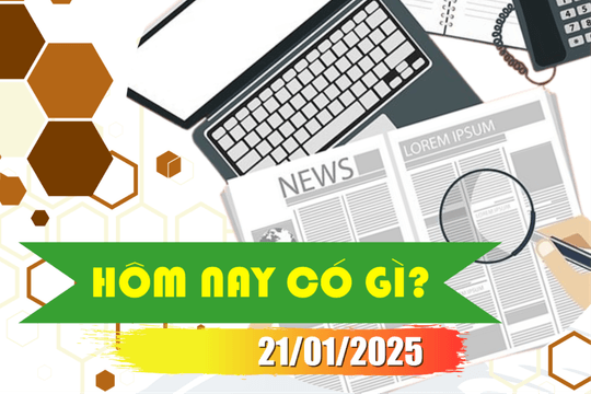 Hôm nay có gì? Ngày 21/01/2025