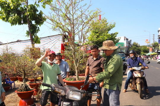 Người dân Đắk Nông phấn khởi mua sắm hoa tết