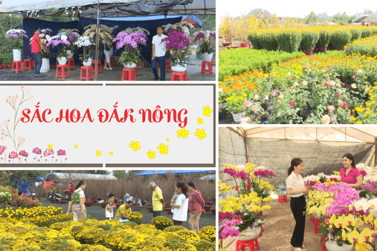 Sắc hoa Đắk Nông