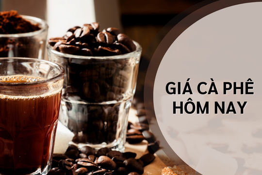 Giá cà phê hôm nay 28/1/2025: Giảm nhẹ do nhà đầu tư chốt lời
