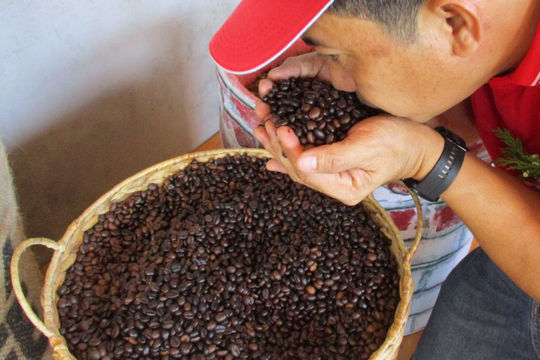 Giá cà phê hôm nay 31/1/2025: Tăng mạnh, cà phê Việt Nam đắt nhất thế giới