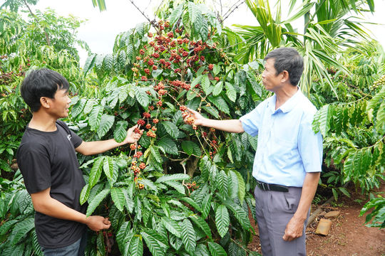 Đắk Nông chú trọng nắm bắt, định hướng dư luận xã hội