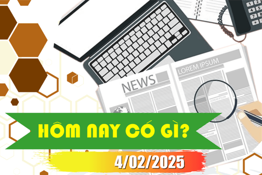 Hôm nay có gì? Ngày 4/02/2025
