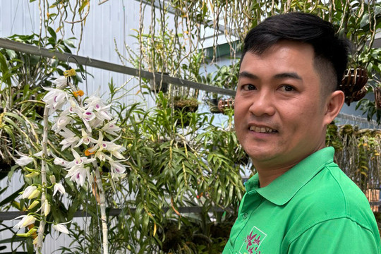 Góp phần xây dựng thương hiệu hoa lan xứ B'Lao