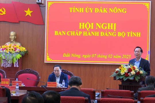 Ban chấp hành Đảng bộ tỉnh Đắk Nông cho ý kiến về các dự án bô xít