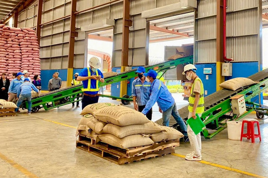 Gia Lai nỗ lực cải thiện môi trường kinh doanh, nâng cao năng lực cạnh tranh