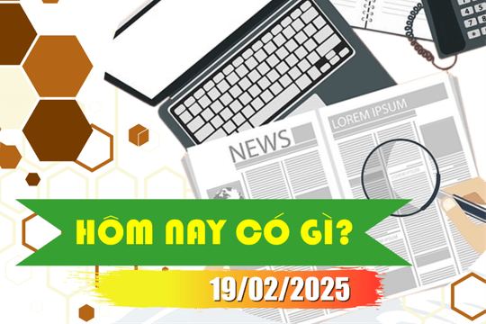 Hôm nay có gì? Ngày 19/02/2025