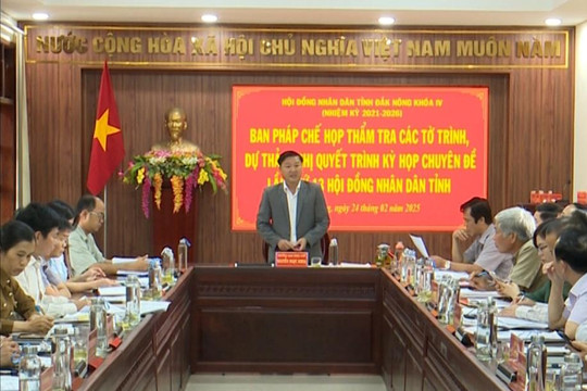 Thẩm tra tờ trình, dự thảo nghị quyết
