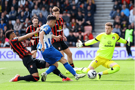Nhận định, dự đoán Brighton vs Bournemouth: Bán hành chủ nhà