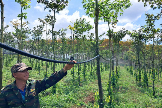 Đắk Nông ứng phó khô hạn bằng công nghệ tưới nước tiên tiến