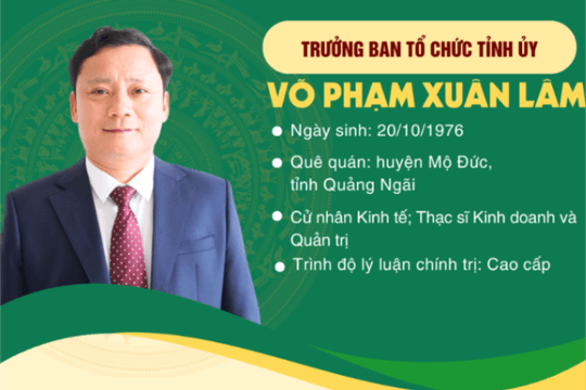 Đồng chí Võ Phạm Xuân Lâm giữ chức Trưởng Ban Tổ chức Tỉnh ủy