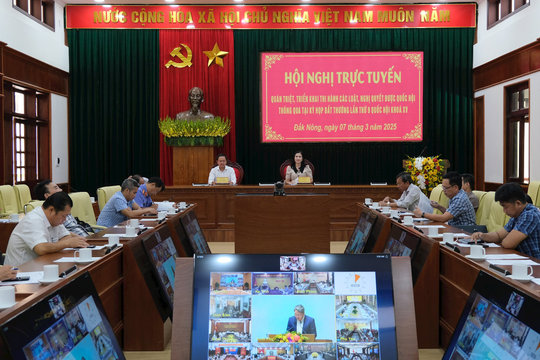 Chính phủ quán triệt, triển khai các luật, nghị quyết mới