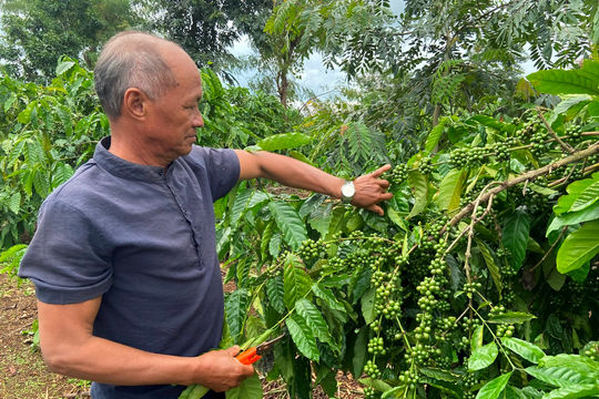 Ông Y Phil - Điểm tựa bon làng ở Đắk Mil