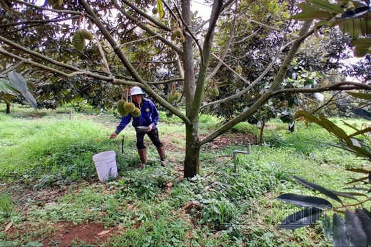 Hợp tác công tư nâng tầm chất lượng nông sản Đắk Nông
