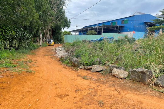 Gia Nghĩa phản hồi vụ 3 hộ dân tranh chấp đường đi hơn 4 năm