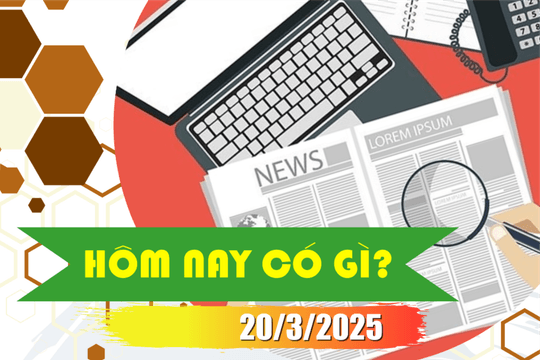 Hôm nay có gì? Ngày 20/3/2025