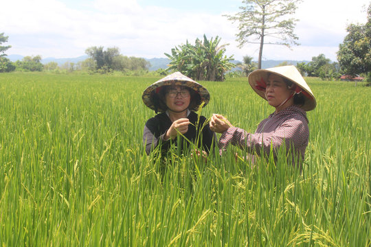 Hợp tác xã nông nghiệp Đắk Nông khẳng định giá trị