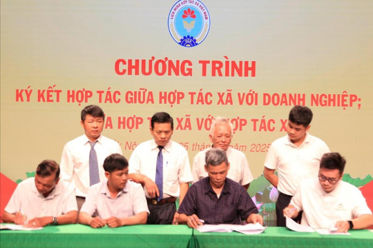 Đắk Nông hợp tác phát triển nguyên liệu xơ mướp xuất khẩu