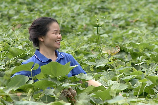 Thanh niên dân tộc thiểu số với khát vọng xây dựng quê hương