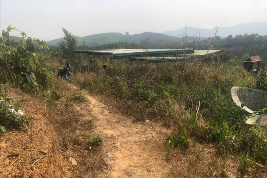 Đắk Nông: Nam thanh niên tử vong trong tư thế treo cổ ở nghĩa trang