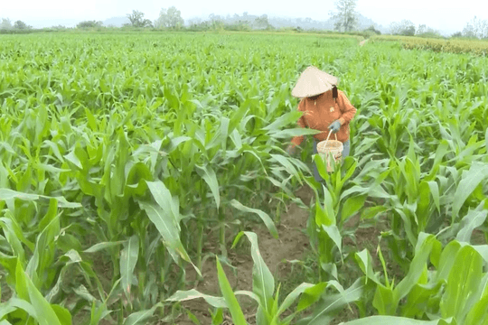 Loạt bài 2 kỳ: Nỗi lo vật tư nông nghiệp kém chất lượng