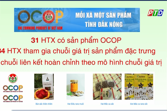 Đắk Nông phát huy vai trò kinh tế tập thể