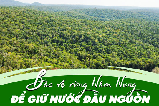 Bảo vệ rừng Nâm Nung để giữ nước đầu nguồn