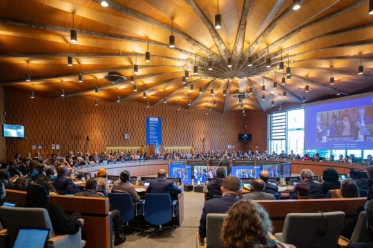 Bộ sưu tập của nhạc sỹ Hoàng Vân được UNESCO ghi danh Di sản Tư liệu Thế giới