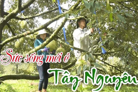 Sức sống mới ở Tây Nguyên