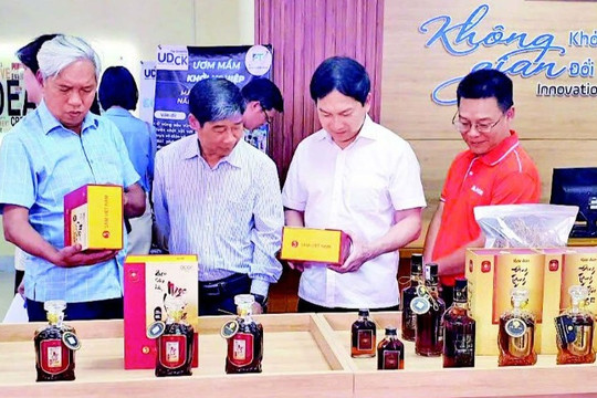 Ngày Hội Khởi Nghiệp Và Kết Nối Doanh Nghiệp Tại Kon Tum