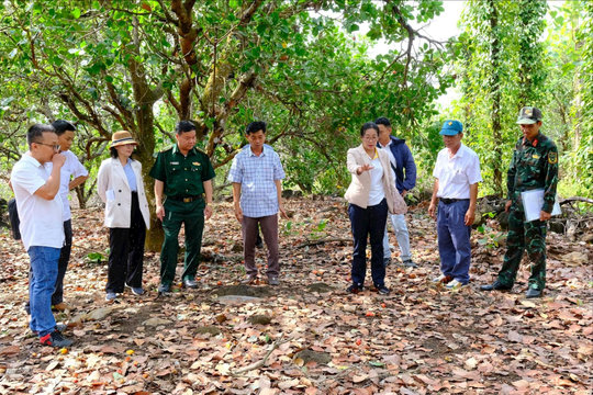Khoanh vùng các khu vực bảo vệ di tích khảo cổ ở Đắk Nông