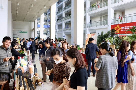 20 gian hàng giới thiệu, trưng bày sản phẩm OCOP chào mừng Hội thảo khoa học 50 năm Lâm Đồng vượt khó vươn lên