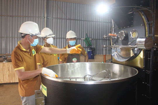HTX Bechamp Đắk Nông tiên phong làm nông nghiệp hữu cơ
