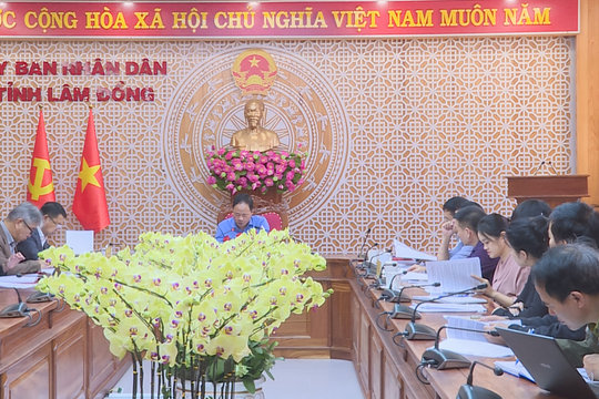 Chủ tịch UBND tỉnh Lâm Đồng làm việc về triển khai các hoạt động thích ứng với quy định không gây mất rừng