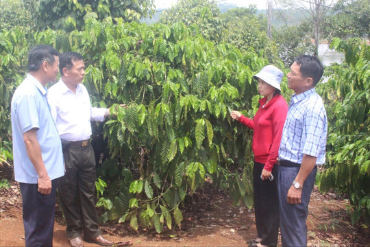 Hợp tác xã ở Đắk Nông thúc đẩy chuyển đổi xanh