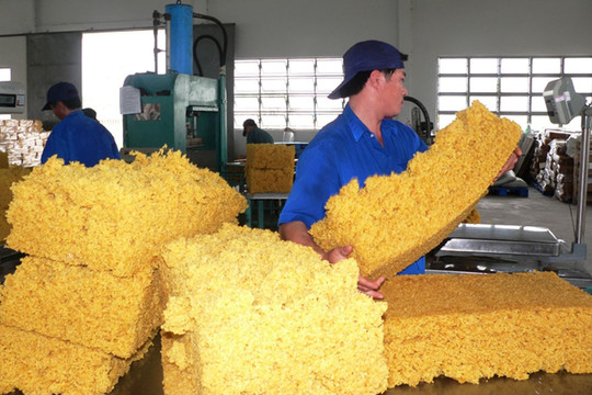 Thách thức việc làm trong thời đại số