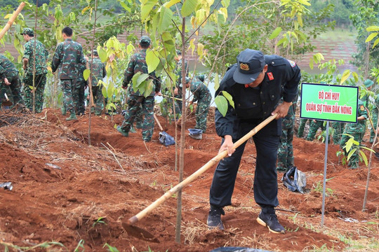 Đắk Nông chuẩn bị trồng 73.000 cây phân tán