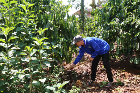 35% hộ dân tộc thiểu số Đắk Nông vay vốn ưu đãi