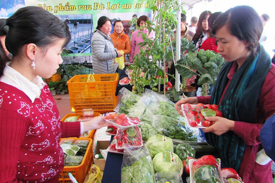 Tân Tiến Đà Lạt - ngôi sao HTX toàn quốc