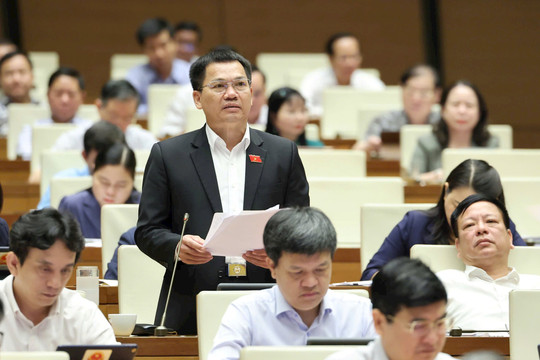 Đại biểu Dương Khắc Mai: Cân nhắc việc đưa một số mặt hàng vào diện thuế tiêu thụ đặc biệt