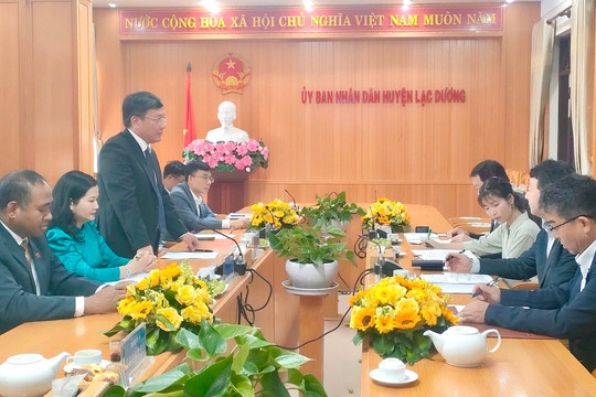 Lạc Dương tiếp tục mở rộng hợp tác hữu nghị với thành phố Yachiyo - Nhật Bản