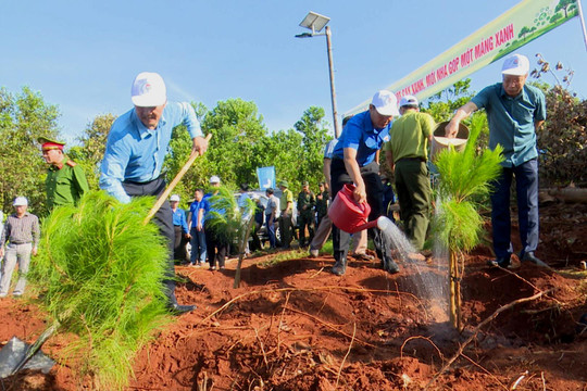 Đắk Nông phát động “Tết trồng cây đời đời nhớ ơn Bác Hồ” năm 2025