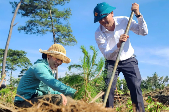 Đắk Glong trồng hơn 2.300 cây phân tán