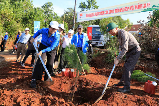 Đắk Nông phát động Tết trồng cây nhớ ơn Bác Hồ