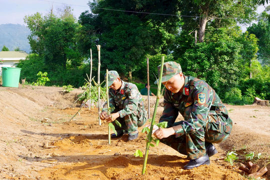 Lực lượng quân sự Đắk Nông phát động Tết trồng cây nhớ ơn Bác Hồ
