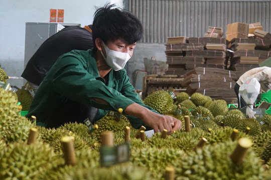 Cần xử lý nghiêm việc "đào lại" vi phạm cũ đăng lên mạng xã hội