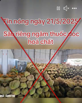Doanh nghiệp thiệt hại vì mạng xã hội " đào lại" vi phạm cũ